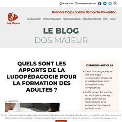 La ludopédagogie en formation pour adultes - Dos Majeur