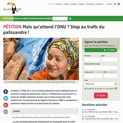 Mais qu’attend l’ONU ? Stop au trafic du palissandre !