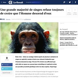 Une grande majorité de singes refuse toujours de croire que l'Homme descend d'eux