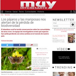 Pájaros y las mariposas indican la pérdida de biodiversidad