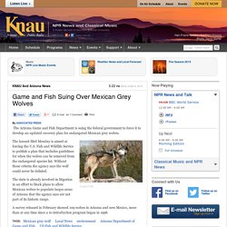 Game and Fish Suing Over Mexican Grey Wolves