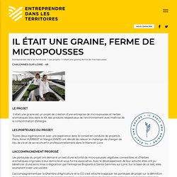 Il était une graine, ferme de micropousses - Entreprendre dans les territoires