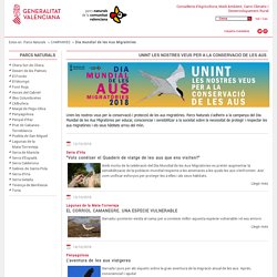 Dia mundial de les Aus Migratòries - Generalitat Valenciana