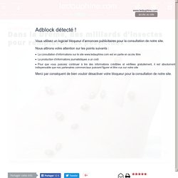 Dans la Drôme, des milliards d’insectes pour remplacer les pesticides