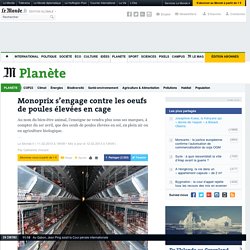 Monoprix s’engage contre les oeufs de poules élevées en cage