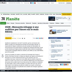 OGM : Monsanto échappe à une audition par l'Anses sur le maïs NK603