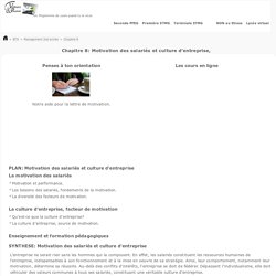 Motivation des salariés et culture d'entreprise - COURS e-learning BTS Management 2sd année.