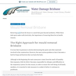 Mould Removal Brisbane – Water Damage Brisbane