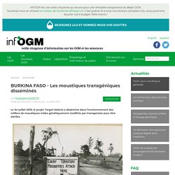 BURKINA FASO - Les moustiques transgéniques disséminés