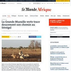 La Grande Muraille verte trace doucement son chemin au Sénégal