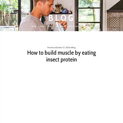 How to build muscle by eating insect protein - Hoppa