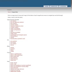 Musculoskeletal Atlas