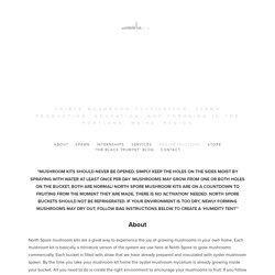 Mushroom Buckets — North Spore