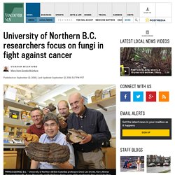 Mushrooms may hold key in cancer fight