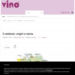 Il nebbiolo: origini e storia - Vinoway.com