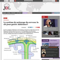 Le système de nettoyage du cerveau: la clé pour guérir Alzheimer?