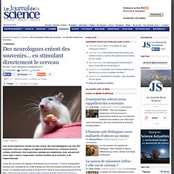 Des neurologues créent des souvenirs… en stimulant directement le cerveau › Cerveau