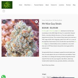 Mr Nice Guy Strain - Weed For Sale Online
