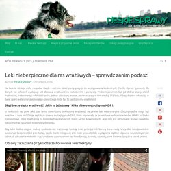 Leki niebezpieczne dla ras wrażliwych - sprawdź zanim podasz!