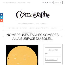Nombreuses taches sombres à la surface du Soleil
