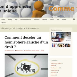 Notre cerveau