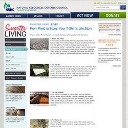 From Field to Store: Your T-Shirt's Life Story