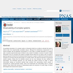 Observability of complex systems