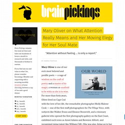 Mary Oliver on What Attention Really Means and Her Moving Elegy for Her Soul Mate – Brain Pickings