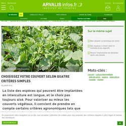 Un outil d'aide au choix des cultures intermédiaires
