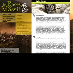 Les races de Massif