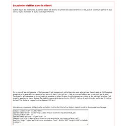 Le palmier dattier dans le désert - Relais d'sciences