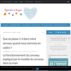 Que se passe-t-il dans notre cerveau quand nous sommes en colère ?