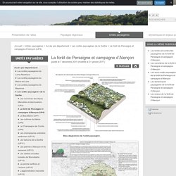 La forêt de Perseigne et campagne d'Alençon