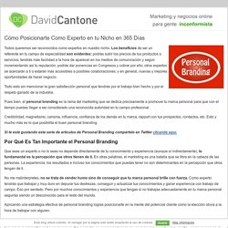 Personal Branding: Cómo Posicionarte Como Experto en tu Nicho en 365 Días