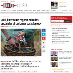«Oui, il existe un rapport entre les pesticides et certaines pathologies»