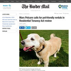 Pets in mix of rent review