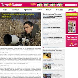 Comment débuter la photographie animalière