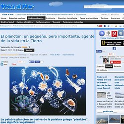 El plancton: un pequeño, pero importante, agente de la vida en la Tierra