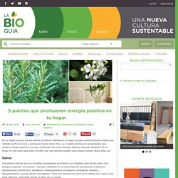 5 plantas que promueven energía positiva en tu hogar