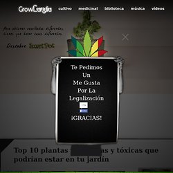 Top 10 plantas venenosas y tóxicas que podrían estar en tu jardín
