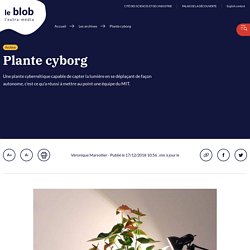 Plante cyborg