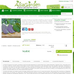La Plante Fromage (Plante comestible rare)
