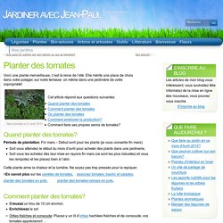 Planter des tomates