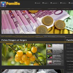 Quinze « plantes compagnes » pour les arbres fruitiers