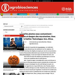 Quand les plantes nous contaminent : risques et dangers des (...)