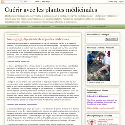 Guérir avec les plantes médicinales: Foie engorgé, digestion lente et plantes médicinales