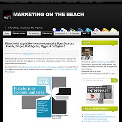 Bien choisir sa plateforme communautaire Open Source : Joomla, Drupal, Buddypress, Elgg ou Lovdbyless