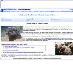 Poissons marins de Nouvelle-Calédonie