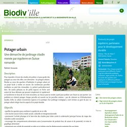 Potager urbain
