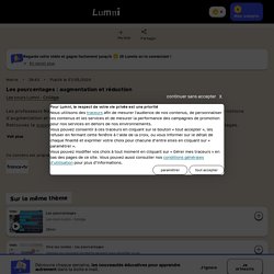 Les pourcentages - 2/2 (7 mai) - Vidéo Maths